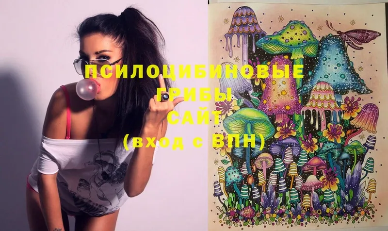 Галлюциногенные грибы MAGIC MUSHROOMS  Ряжск 